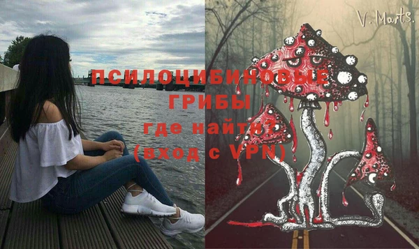 дживик Беломорск
