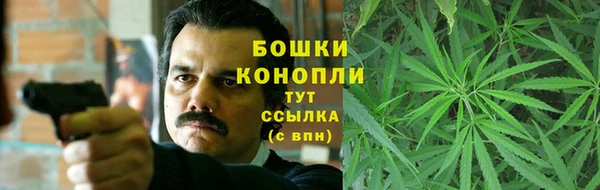 spice Богданович