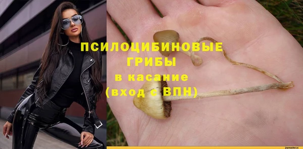 spice Богданович