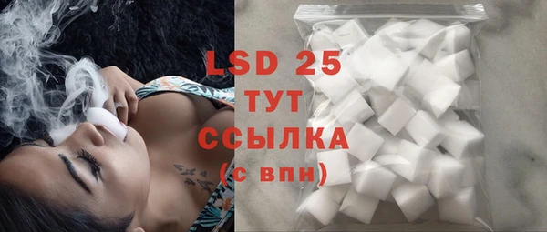 spice Богданович
