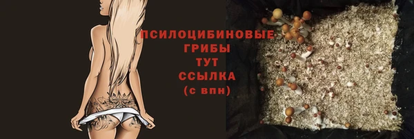 дживик Беломорск