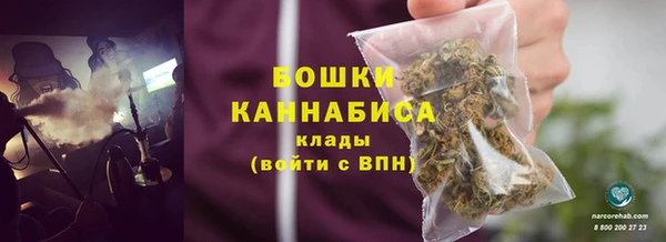 spice Богданович