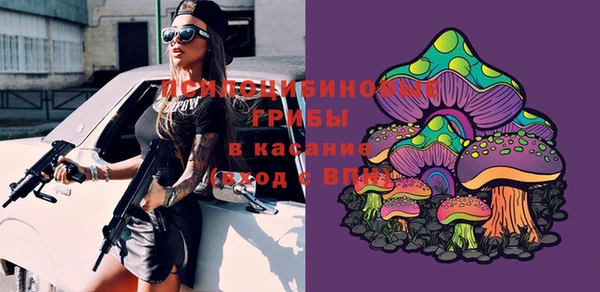 прущие грибы Ступино